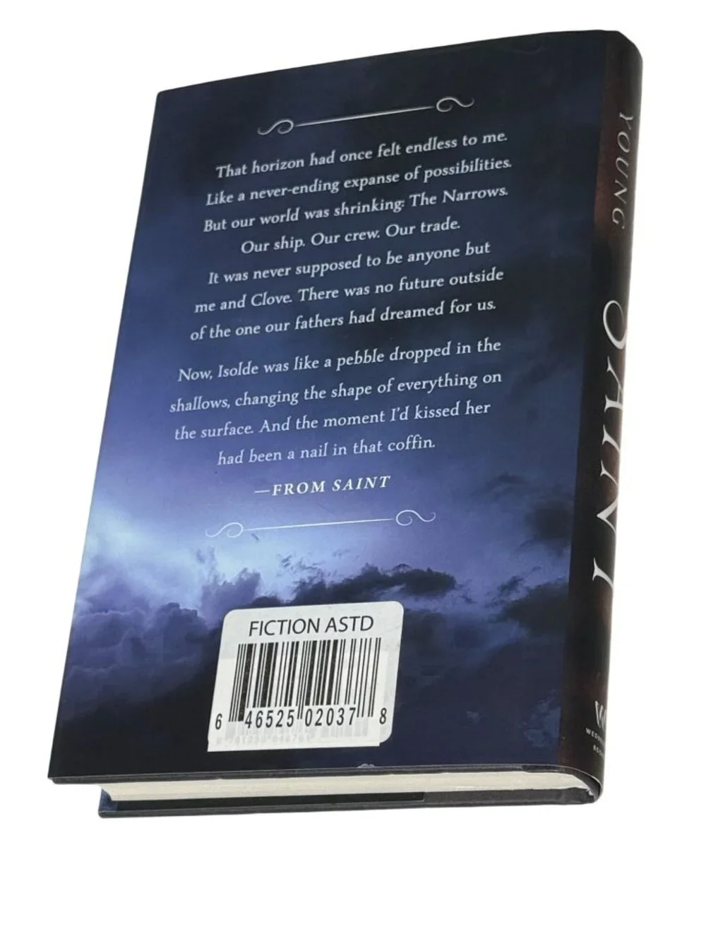 Saint Adrienne Young Hardcover Fantasy Novel 2022